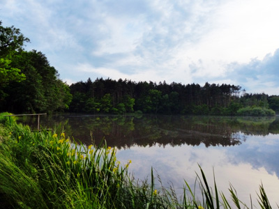 Domanín a okolí - Třeboňsko